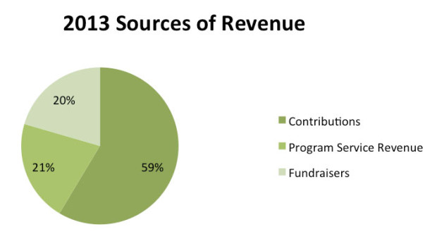2013-Sources-of-Revenue