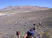 Earth Guardians hike along the Black Rock Desert near the edge of the playa.