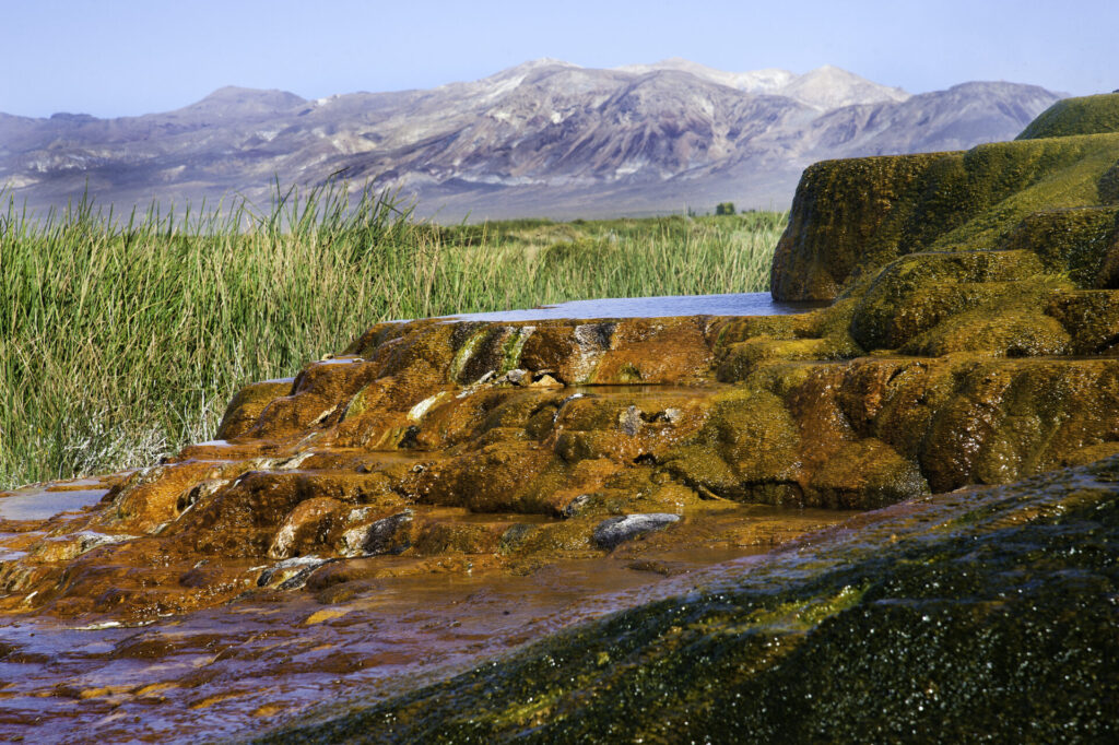 Orange and green mineral deposits from Fly Geyser in front of grass, lake and mountains in the distance.