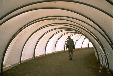 Inside the Ammonite. Person in a tunnel.
