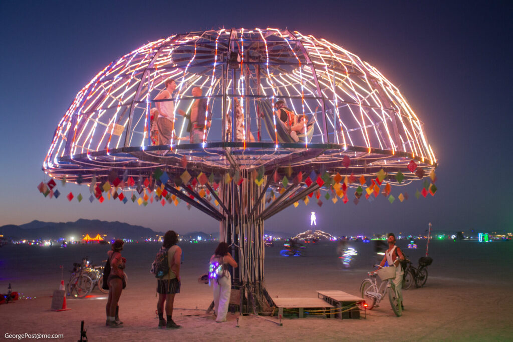 Alice's Magic Mushroom