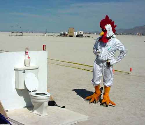 A person in a chicken costume standing near a toilet on the playa. 