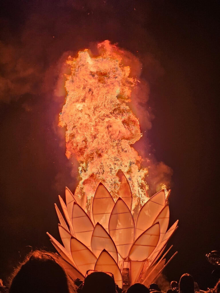 Lotus flower with flame in the center