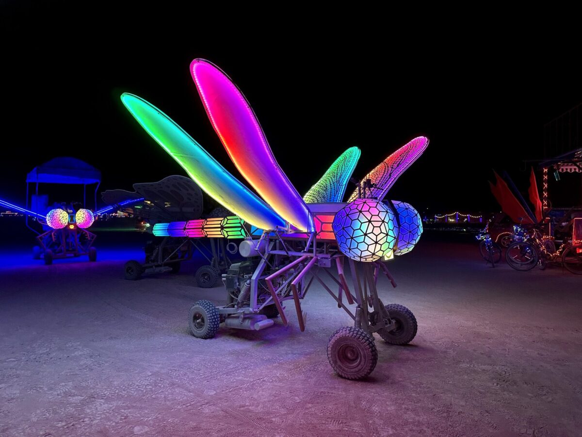 Dragonfly mutant vehicel lit with LEDs
