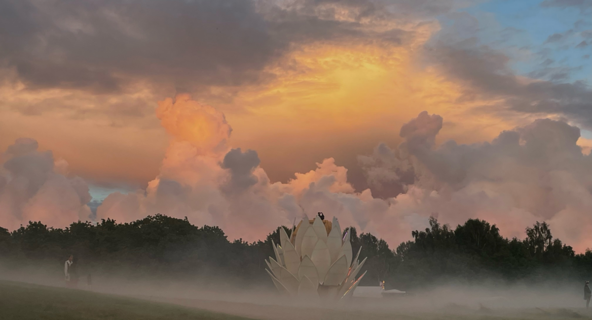 Foggy sunrise in a field with a large wooden protea flower in the center