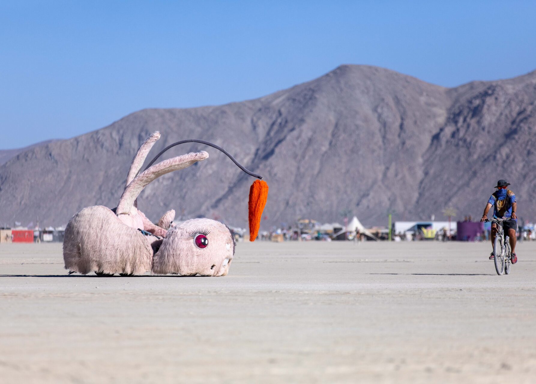 Mutant vehicle shaped like a rabbit with large anime eyes and a carrot lure dangling from a lure next to a bicylist in Black Rock City